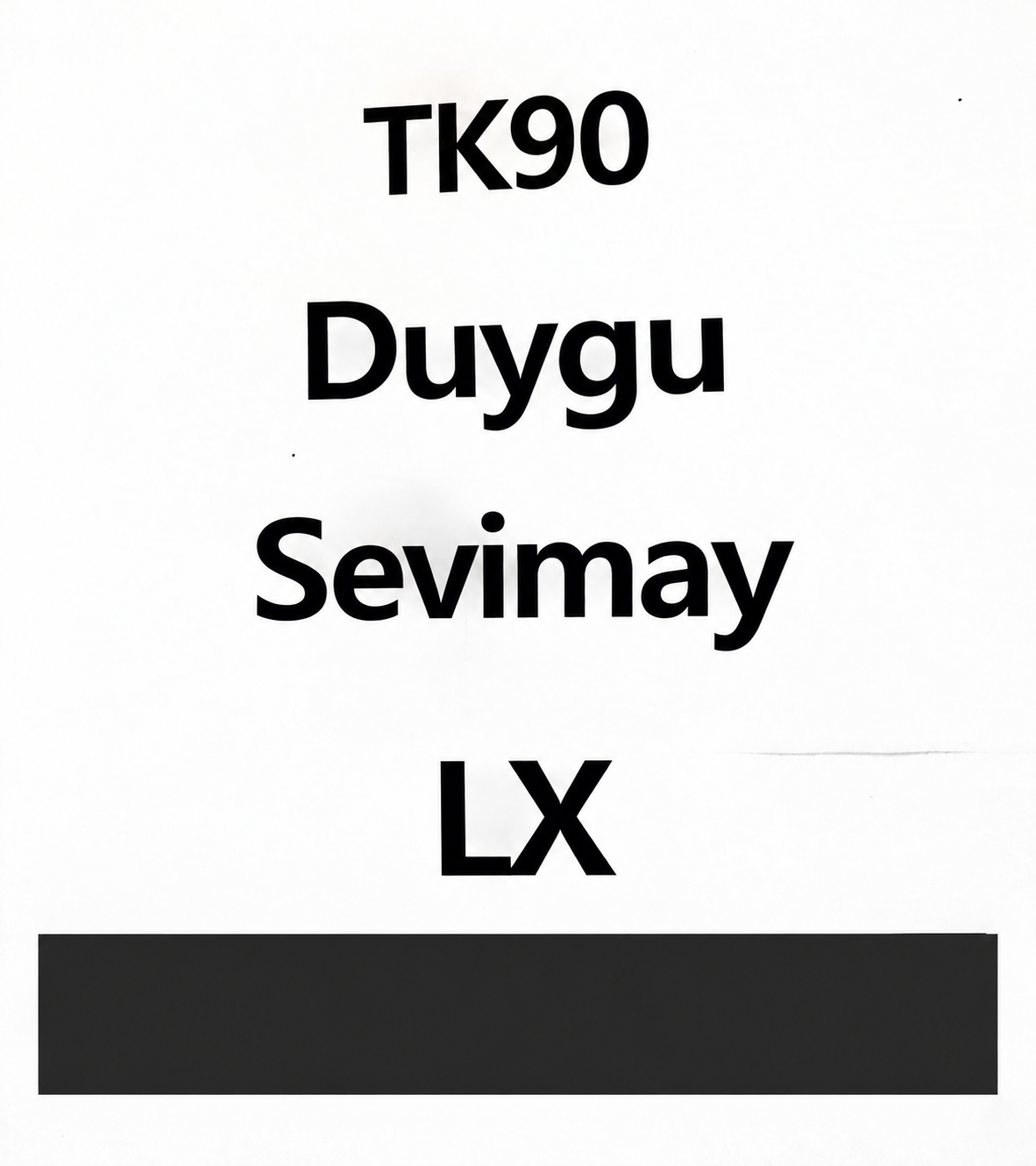 Meeting sign for an overseas visitor on TK90; the text below LX is concealed by an opaque mask